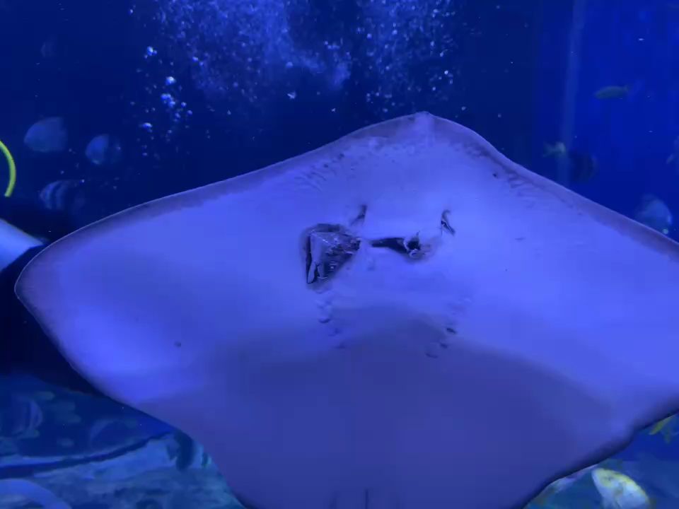 水族館