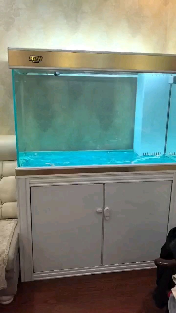 又開一口新缸，二手的性價(jià)比很高，五百塊還帶十條魚，銀龍啥的