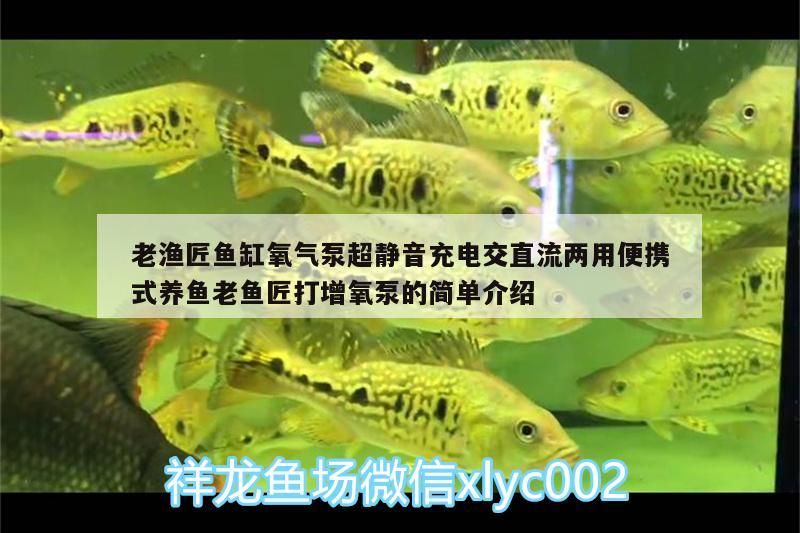 老漁匠魚(yú)缸氧氣泵超靜音充電交直流兩用便攜式養(yǎng)魚(yú)老魚(yú)匠打增氧泵的簡(jiǎn)單介紹