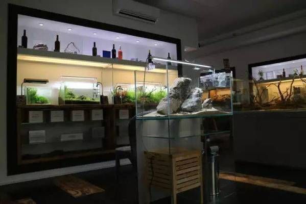 水族館店面裝修圖片：水族館店面裝修設計