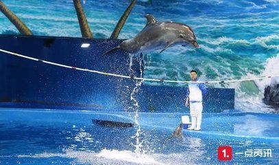 水族館發(fā)展前景分析（水族館科普教育影響力評估水族館行業(yè)市場競爭分析）