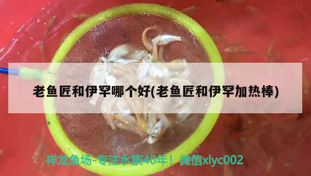 老魚匠和伊罕哪個好(老魚匠和伊罕加熱棒)