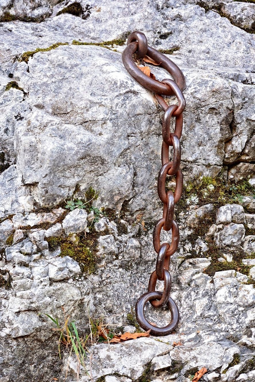 老魚匠加熱棒維修價格及圖片大全視頻(老魚匠加熱棒怎么保養)