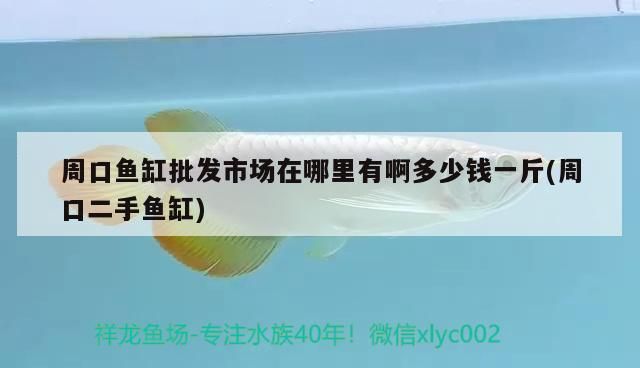 周口魚缸批發市場在哪里有啊多少錢一斤(周口二手魚缸)