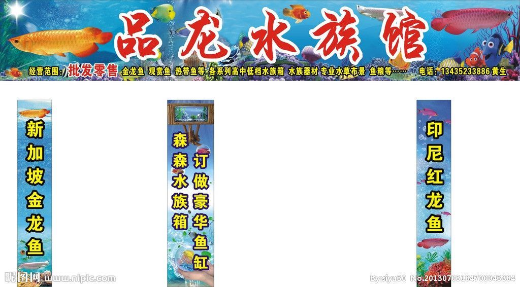金龍魚水族箱適宜的水草種類：金龍魚水族箱水草布局技巧,水榕與莫斯水草的養護區別