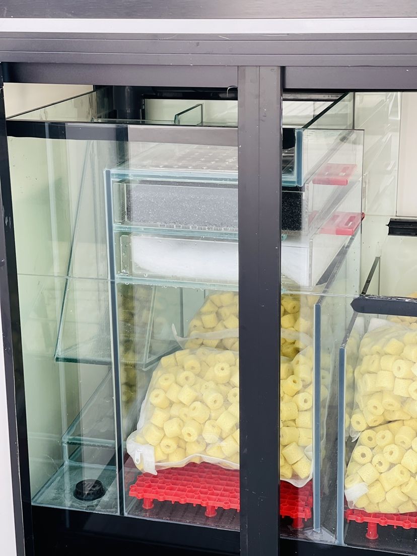 詳細(xì)閱讀:銀龍魚(yú)魚(yú)卵(銀龍魚(yú)的卵) 銀龍魚(yú)魚(yú)卵(銀龍魚(yú)的卵)