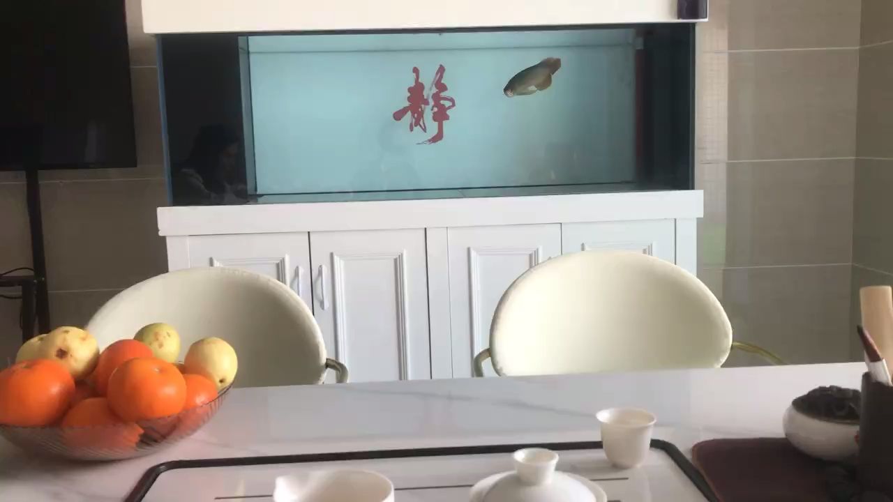 脫離養魚一年多又重新入坑了，運輸導致有一點點沉頭哪位大神知道咋整