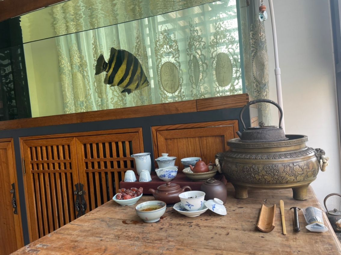好久沒有冒泡了 水一個