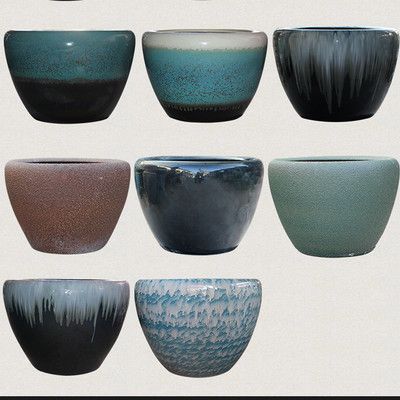 訂做金魚缸多少錢一套（訂做金魚缸價格范圍從幾十元到幾萬元不等）