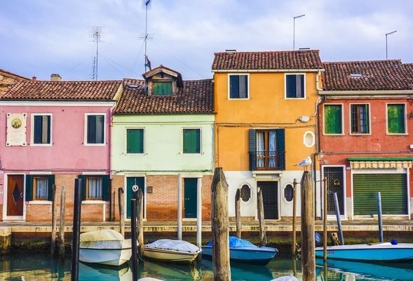 養(yǎng)豬鼻龜?shù)母桌锓攀裁幢容^好：關(guān)于豬鼻龜?shù)娘曫B(yǎng)