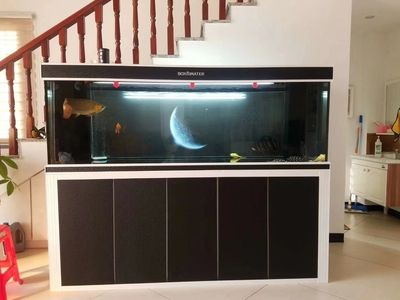 光特億ph檢測儀q1耗電量：光特億ph檢測儀q1的耗電量