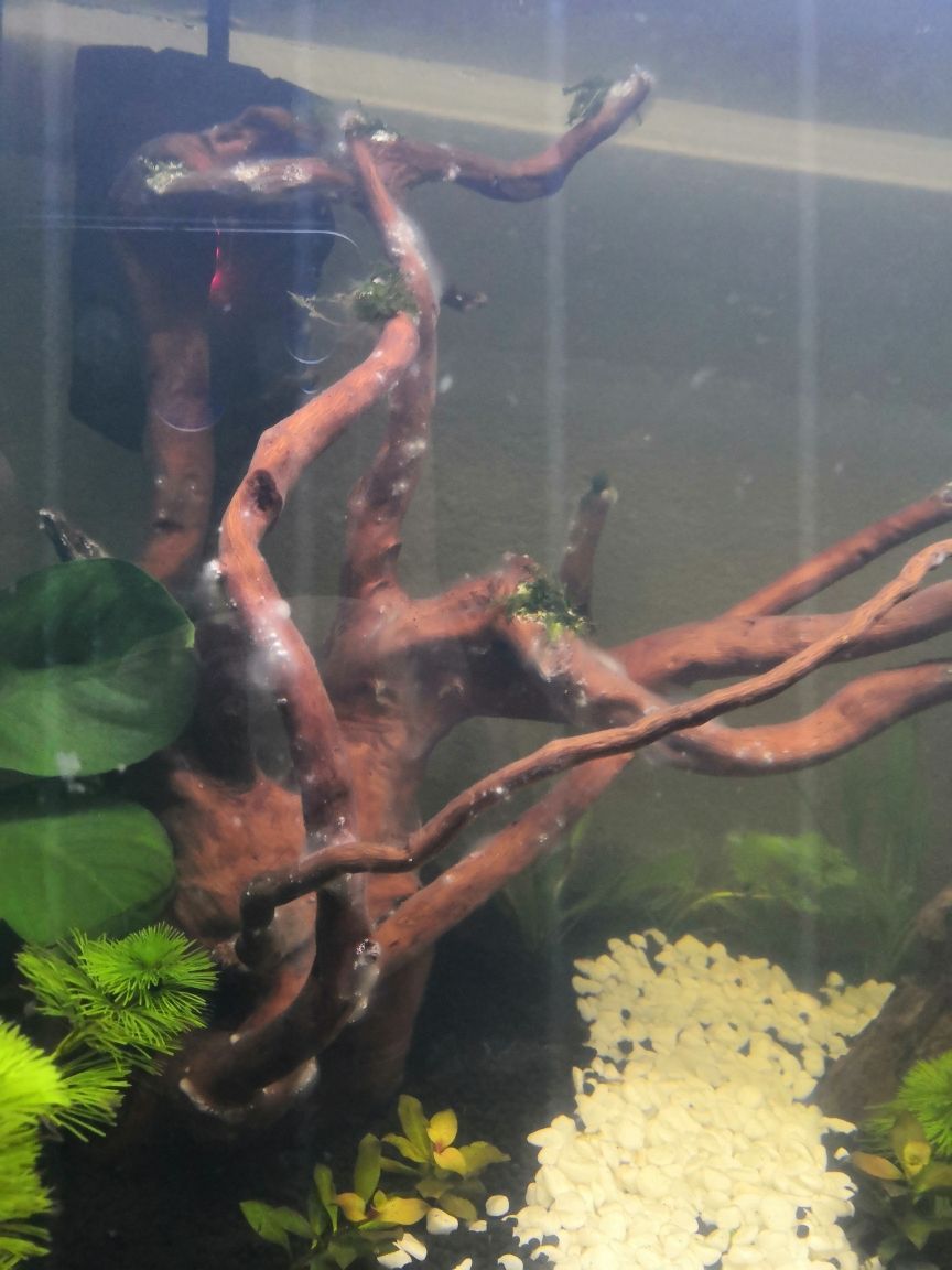 詳細(xì)閱讀:北京賣魚缸底柜的地方(北京賣魚缸底柜的地方有哪些) 北京賣魚缸底柜的地方(北京賣魚缸底柜的地方有哪些)