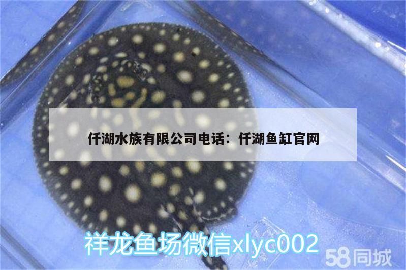 仟湖水族有限公司電話:仟湖魚缸官網