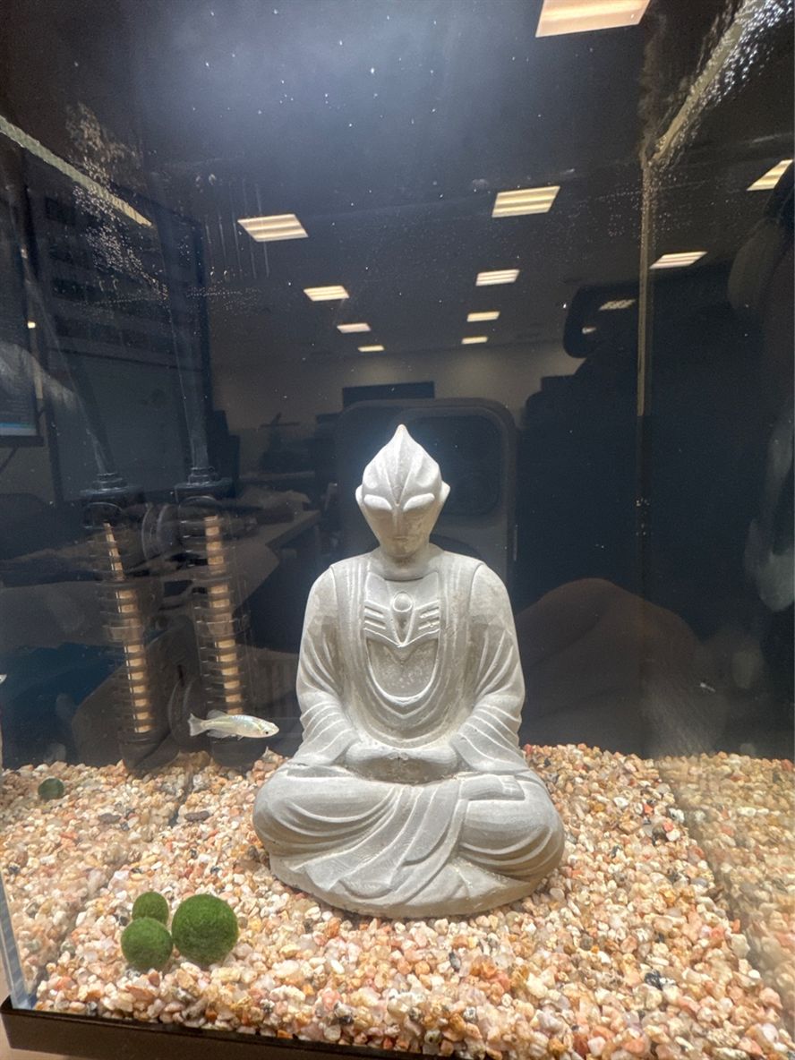 新手開缸，為什么水那么硬？