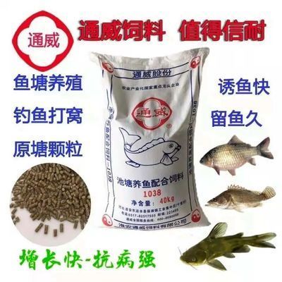 觀賞魚飼料釣魚好用嗎（觀賞魚飼料是否適用于釣魚取決于飼料的種類和觀賞魚）