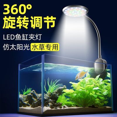 海鯨魚缸燈（水族箱燈光設計的藝術探索如何通過燈光設計提升水族箱的觀賞效果）