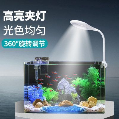 海鯨魚缸燈（水族箱燈光設計的藝術探索如何通過燈光設計提升水族箱的觀賞效果）