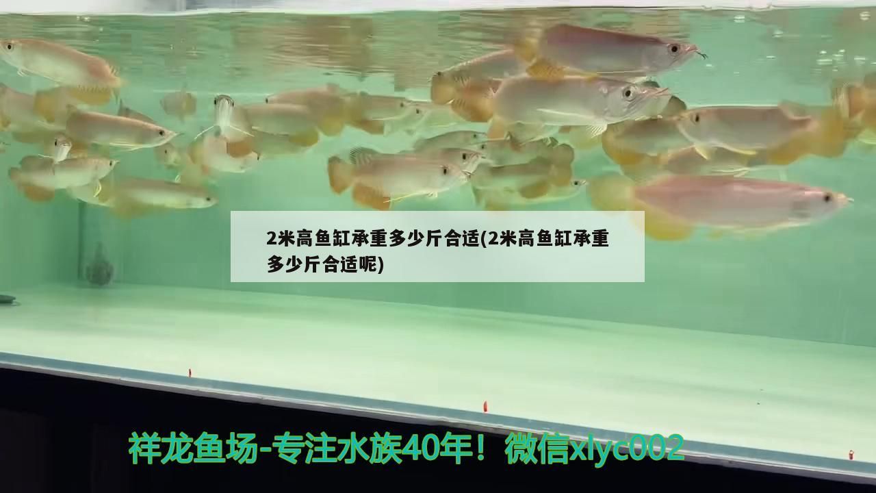 2米高魚缸承重多少斤合適(2米高魚缸承重多少斤合適呢)
