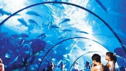 韓國觀賞魚市場前景如何（韓國觀賞魚市場前景如何？）