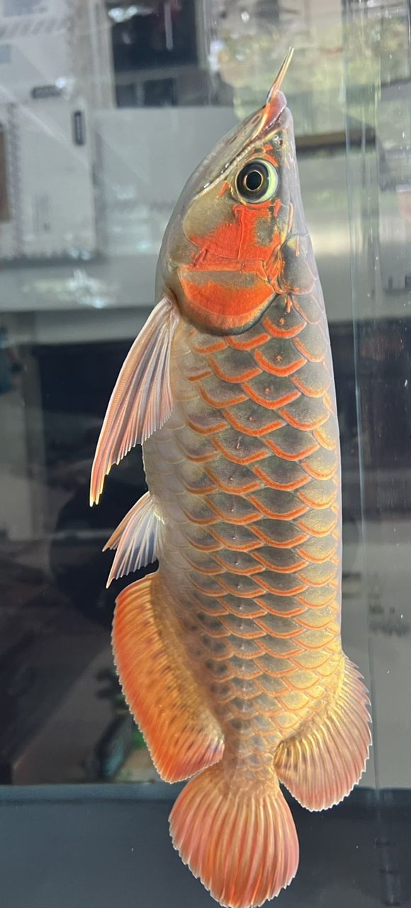 一個(gè)多月了有什么變化？