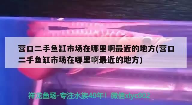 營口二手魚缸市場在哪里啊最近的地方(營口二手魚缸市場在哪里啊最近的地方) 營口二手魚缸市場在哪里啊最近的地方(營口二手魚缸市場在哪里啊最近的地方) 九鼎魚缸