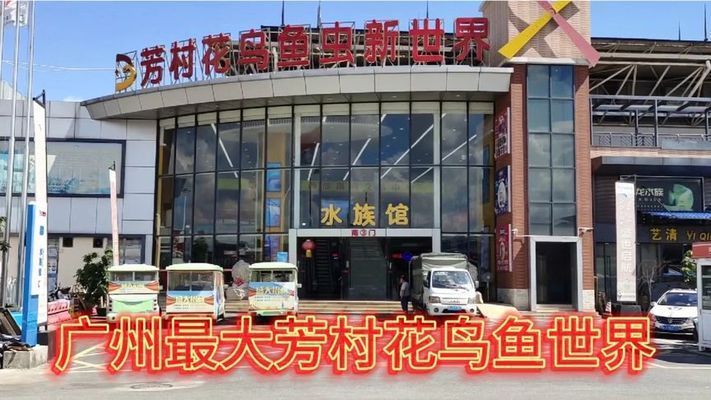 水族館一般多大：歐洲最大水族館規(guī)模可以從多個維度來衡量水體容量