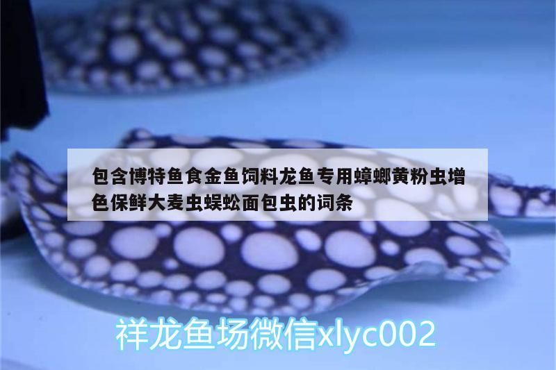 包含博特魚(yú)食金魚(yú)飼料龍魚(yú)專(zhuān)用蟑螂黃粉蟲(chóng)增色保鮮大麥蟲(chóng)蜈蚣面包蟲(chóng)的詞條