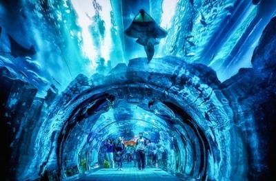 十大水族館介紹：上海海洋主題公園海洋主題公園、海洋主題公園之一水族館