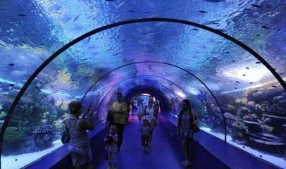 十大水族館介紹：上海海洋主題公園海洋主題公園、海洋主題公園之一水族館