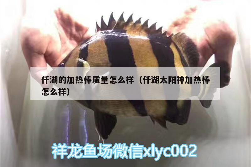 仟湖的加熱棒質量怎么樣（仟湖太陽神加熱棒怎么樣）
