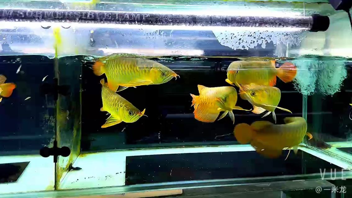 給你們看看雷塔，這6小幅進口到現在百天