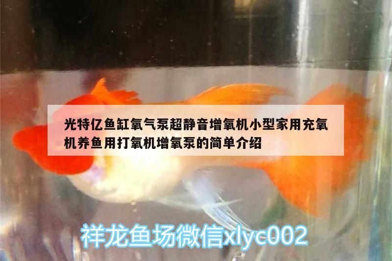 光特億魚缸氧氣泵超靜音增氧機小型家用充氧機養魚用打氧機增氧泵的簡單介紹