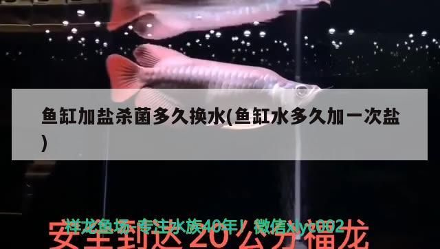 蠡縣哪里有賣魚缸的（涉縣哪里賣魚缸）