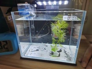 yee牌魚缸算牌子嗎：yee牌魚缸在市場上有一定的存在感