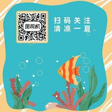 水族館魚缸制作圖片：關于水族館魚缸制作圖片詳情
