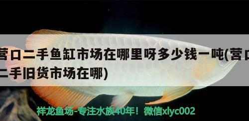 營口二手魚缸市場在哪里呀多少錢一噸(營口二手舊貨市場在哪)