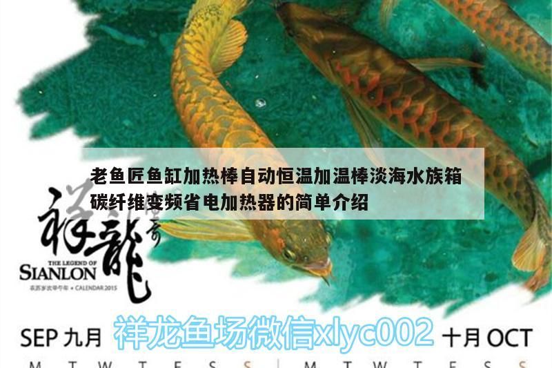 老魚(yú)匠魚(yú)缸加熱棒自動(dòng)恒溫加溫棒淡海水族箱碳纖維變頻省電加熱器的簡(jiǎn)單介紹