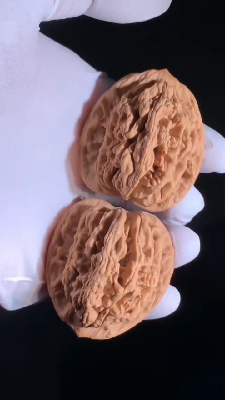 麥穗虎頭核桃