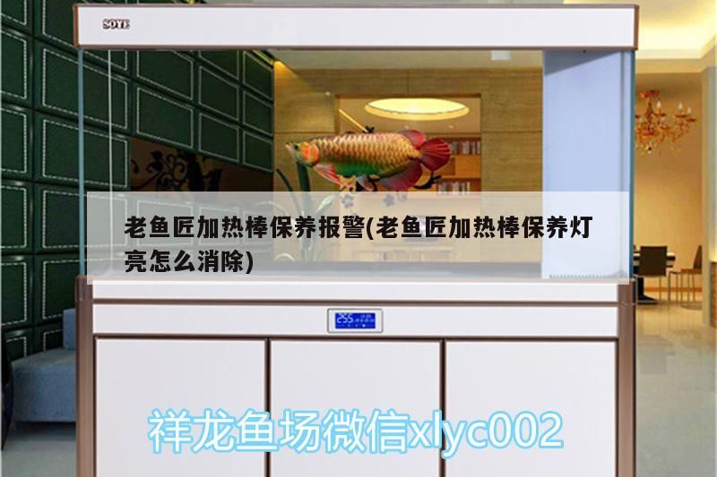 老魚匠加熱棒保養報警(老魚匠加熱棒保養燈亮怎么消除)