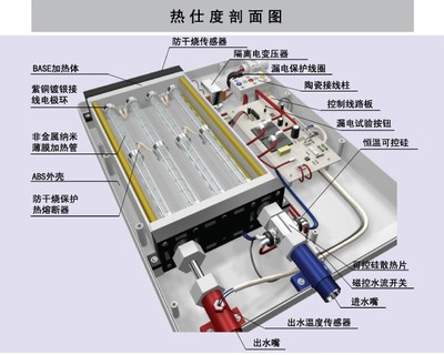 魚為啥不能養一黑一白？揭秘風水與科學的雙重玄機