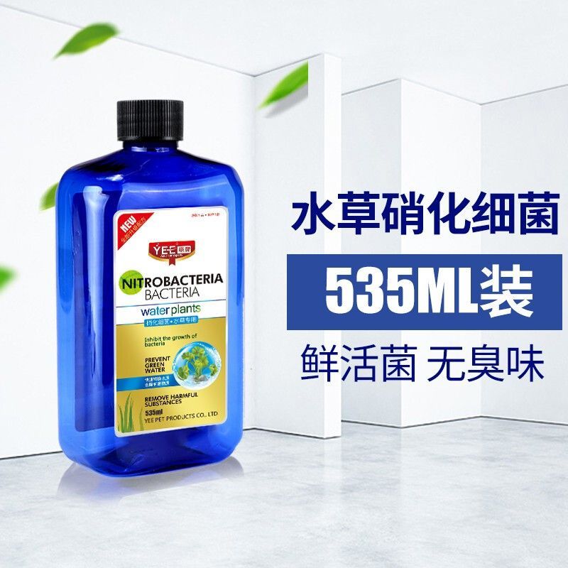 yee硝化細菌怎么樣：yee硝化細菌是一個值得考慮的選擇