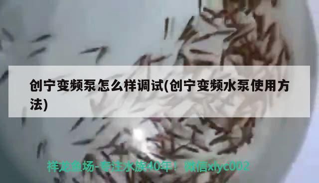 創寧變頻泵怎么樣調試(創寧變頻水泵使用方法)