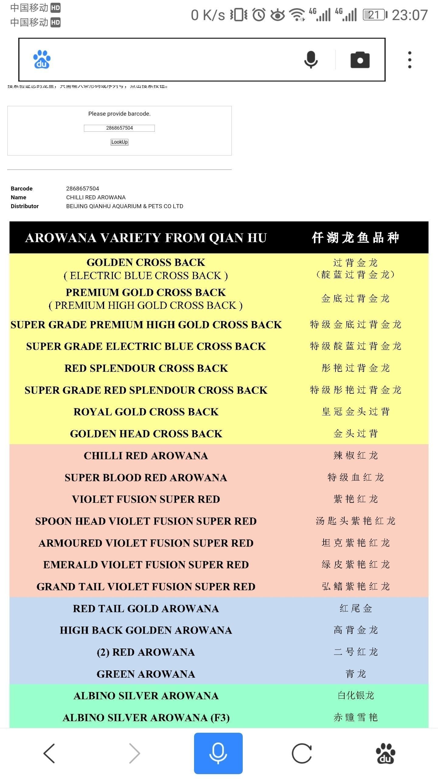 放棄高背果斷入手仟湖辣椒紅龍魚 放棄高背果斷入手仟湖辣椒紅龍魚 仟湖 第2張