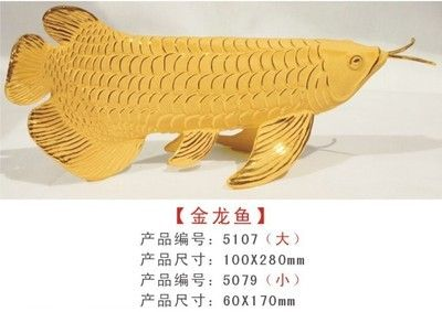 立達金龍魚怎么那么貴呢