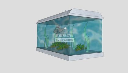 玻璃金魚缸什么意思（\"玻璃金魚缸效應介紹）