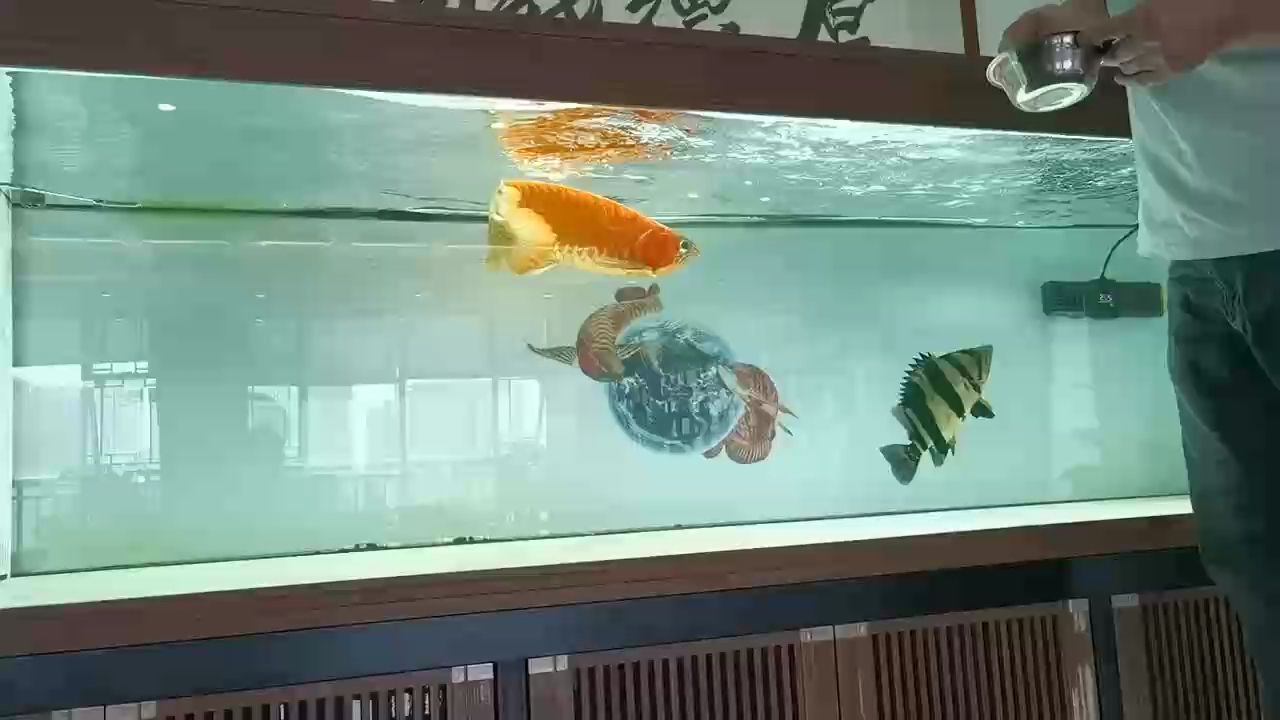 一邊上班一邊溜魚(yú)