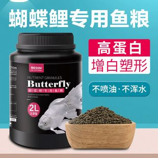 小蝴蝶鯉吃什么長得快（小蝴蝶鯉快速生長需要科學的飼料選擇、喂食策略及環(huán)境管理）