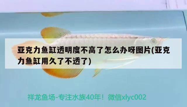 亞克力魚缸透明度不高了怎么辦呀圖片(亞克力魚缸用久了不透了)