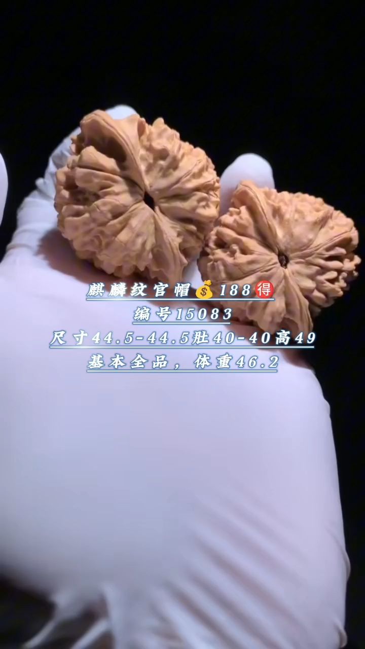 麒麟紋官帽核桃