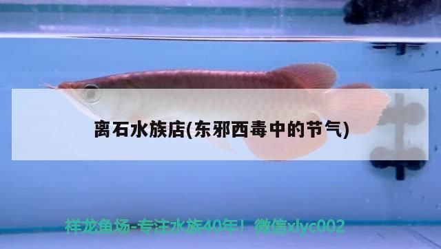 離石水族店(東邪西毒中的節(jié)氣)
